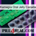 Kamagra Oral Jelly Canada new04